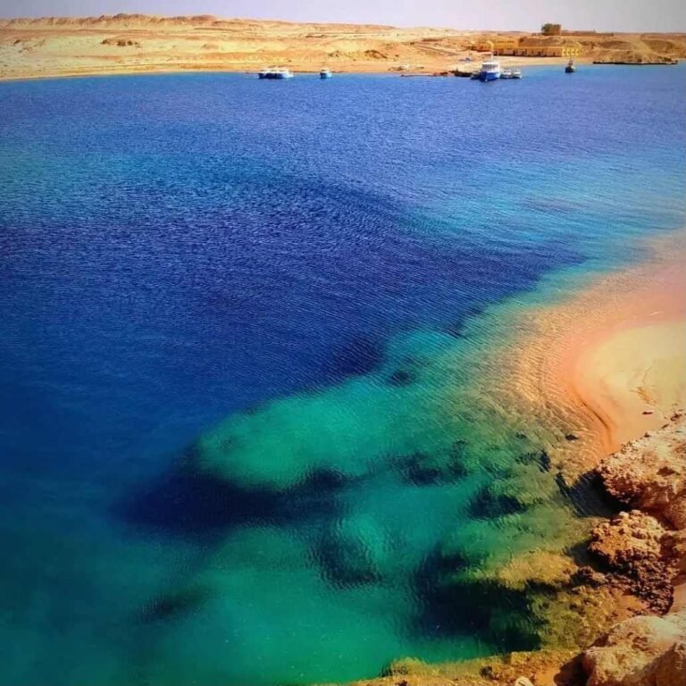 (العربية) هايكنج