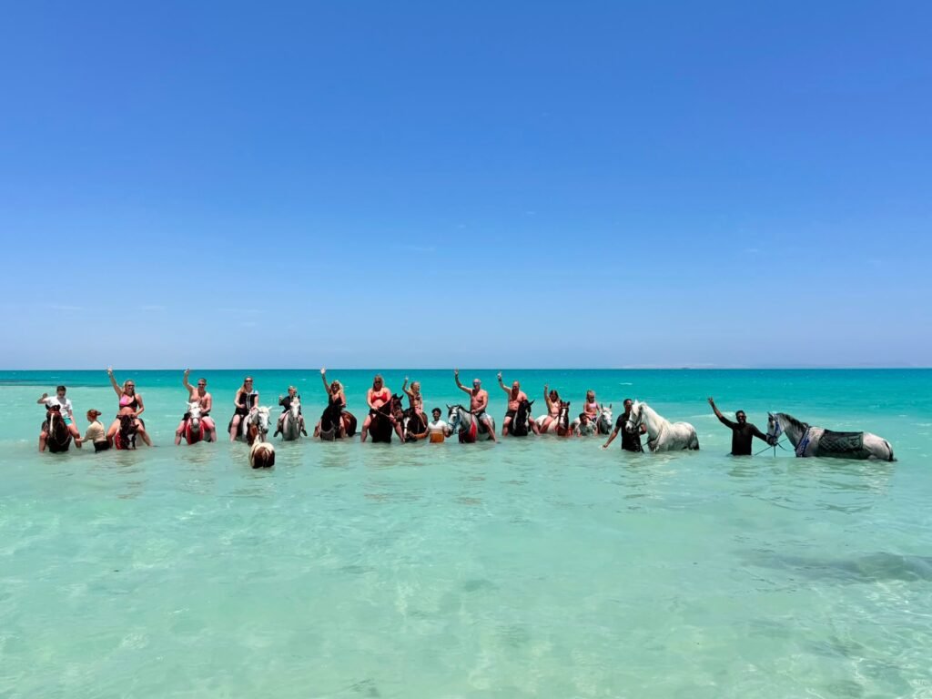 (العربية) ركوب الخيل