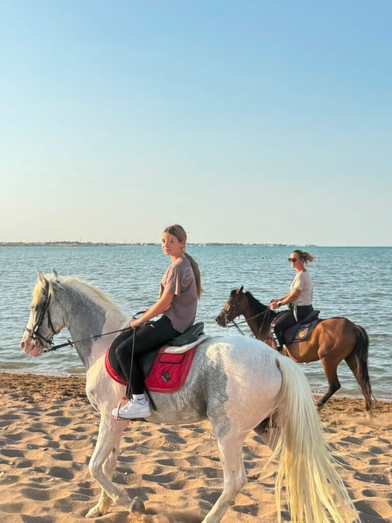 (العربية) ركوب الخيل