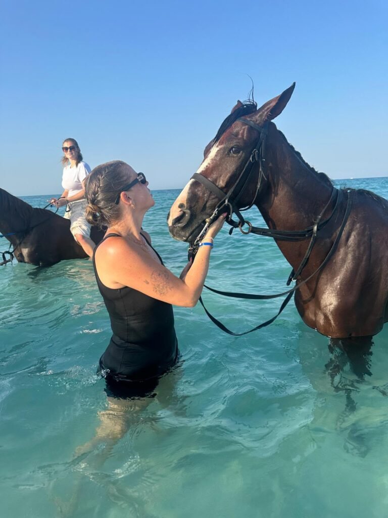 (العربية) ركوب الخيل