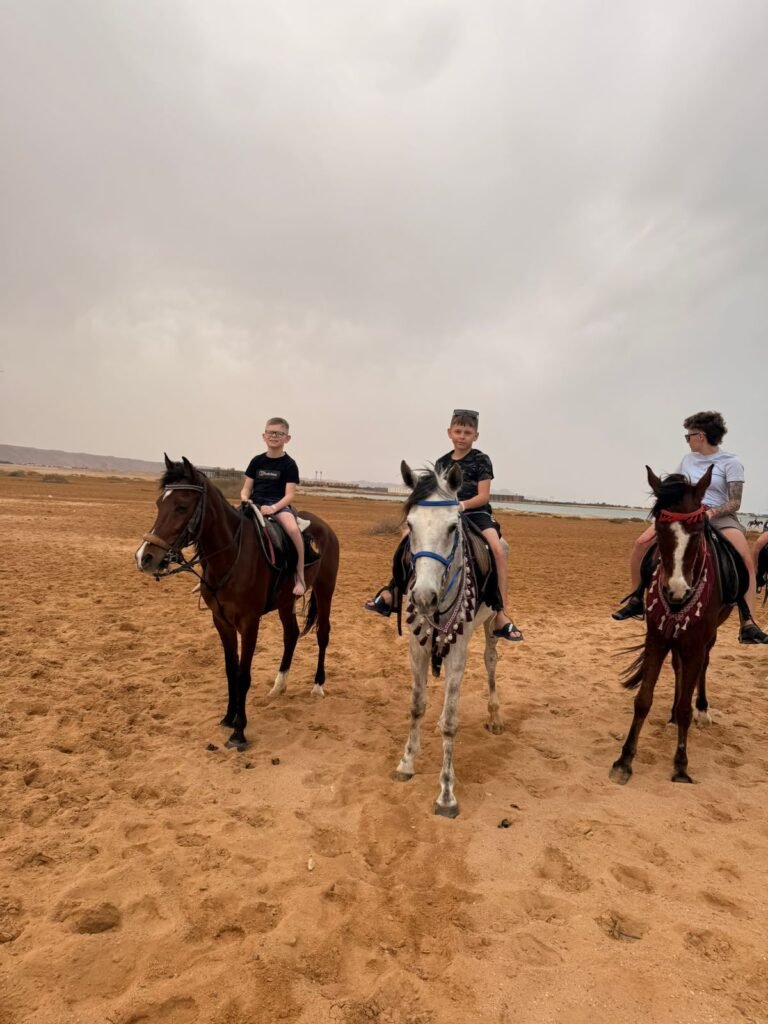 (العربية) ركوب الخيل