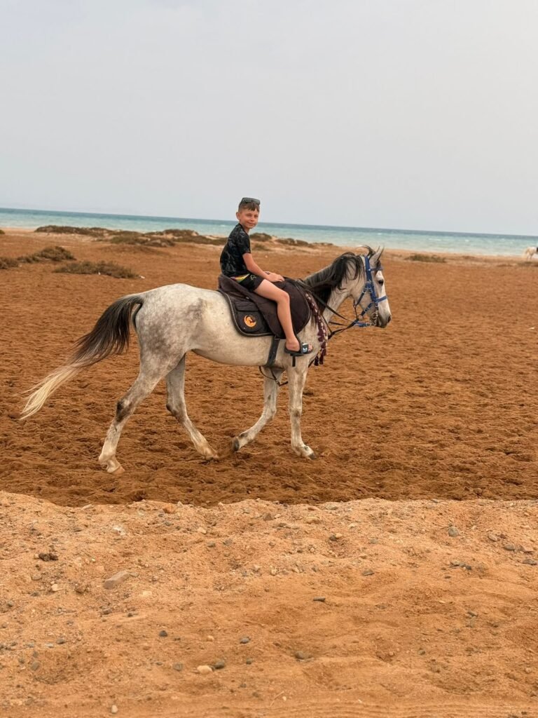 (العربية) ركوب الخيل