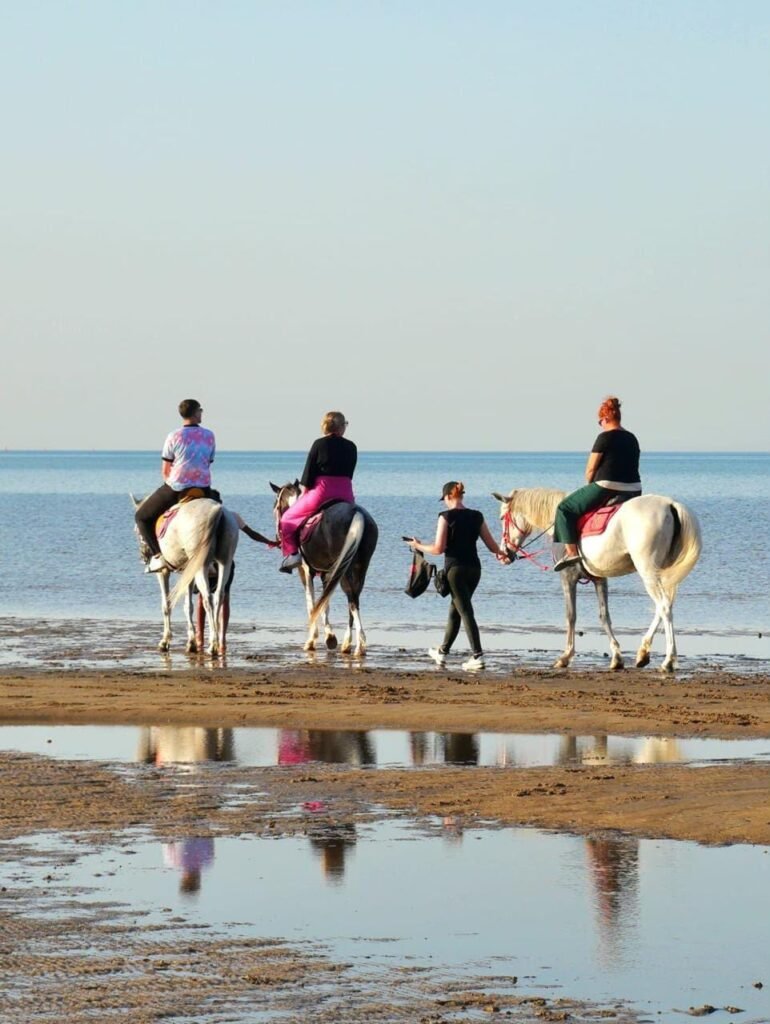 (العربية) ركوب الخيل