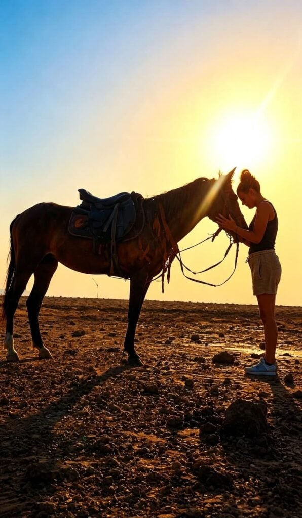 (العربية) ركوب الخيل