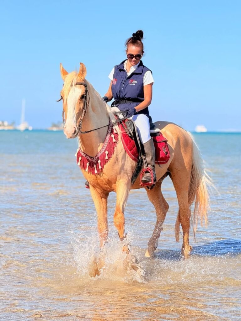 (العربية) ركوب الخيل