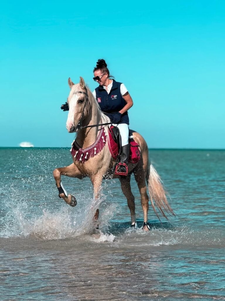 (العربية) ركوب الخيل