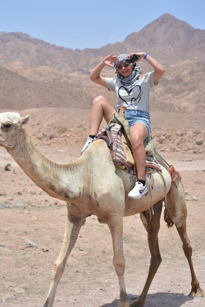 رحلة دهب