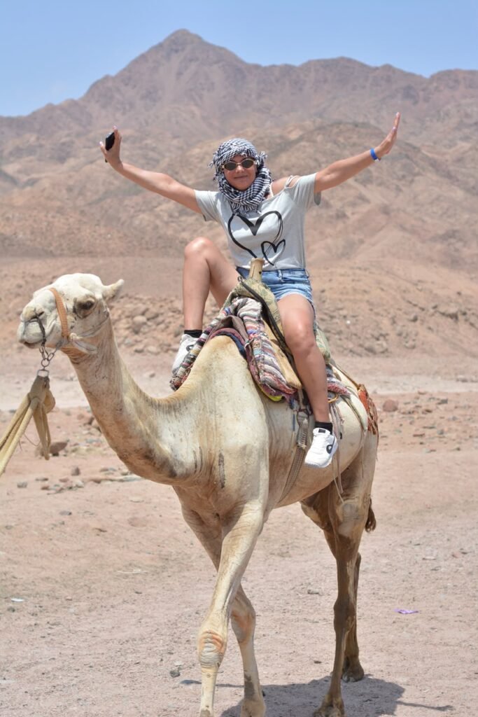 رحلة دهب