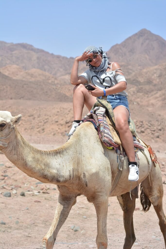 رحلة دهب