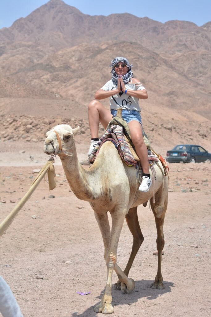 رحلة دهب