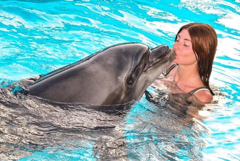 Dolphin Show in Sharm El Sheikh: Family Entertainment